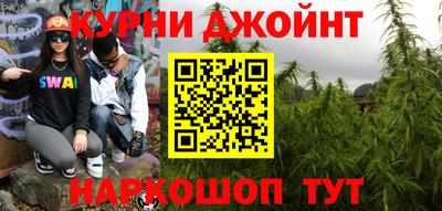 дживик Моздок