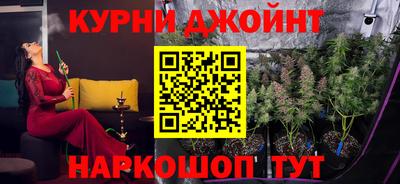 дживик Моздок