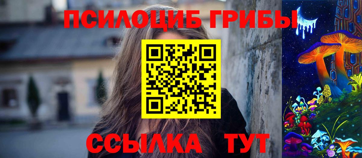 Псилоцибиновые грибы MAGIC MUSHROOMS Горно-Алтайск