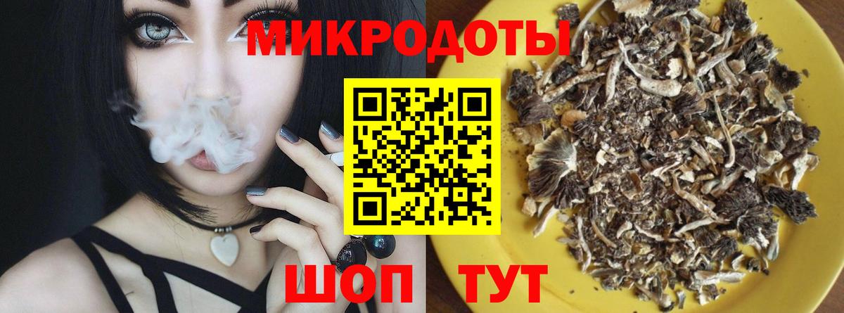 Горно-Алтайск  Псилоцибиновые грибы Cubensis  Вход с VPN  Галлюциногенные грибы Psilocybe 