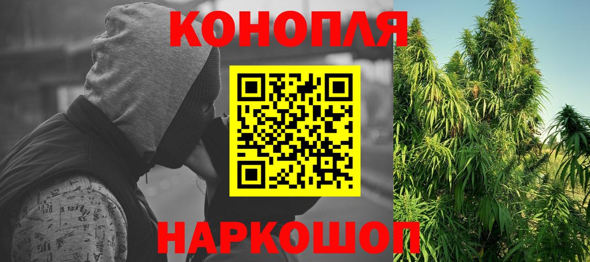 Каннабис планчик Горно-Алтайск